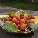 кануш войвода Guest house
