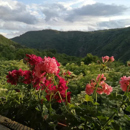 кануш войвода בית הארחה