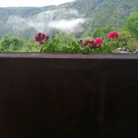 кануш войвода * Kovacevica