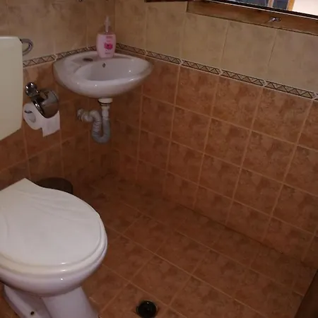кануш войвода Guest house *