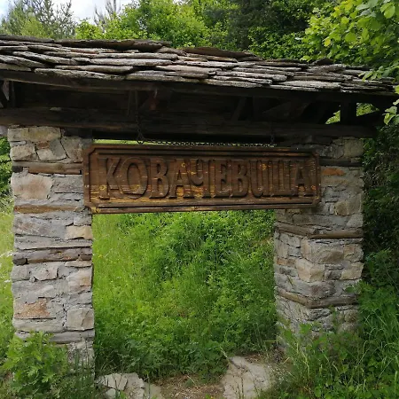 кануш войвода Guest house *