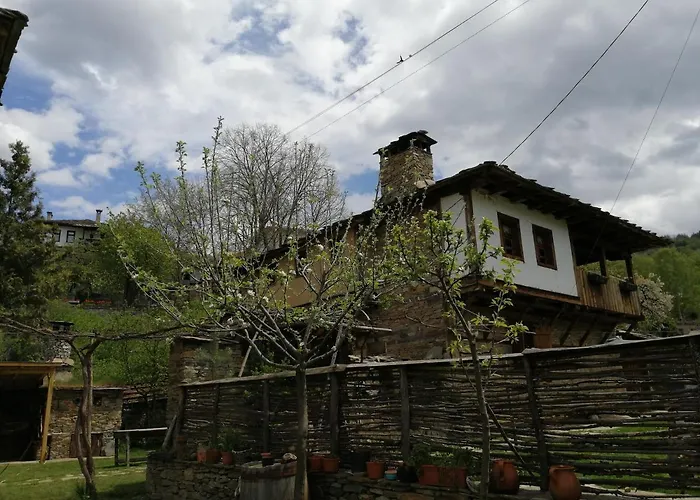 кануш войвода 3* Kovacevica