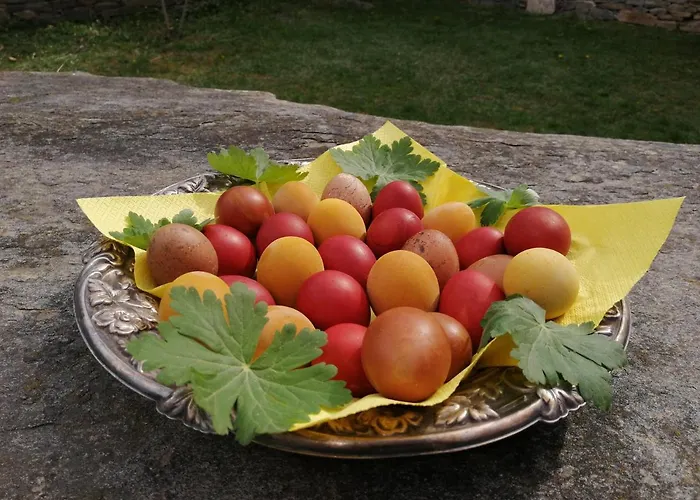 кануш войвода Guest house